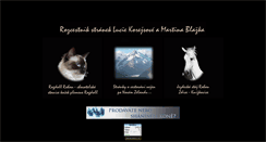 Desktop Screenshot of blazek.info